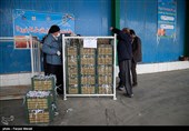 نگرانی بابت تأمین میوه شب عید در استان زنجان وجود ندارد
