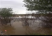 بالا آمدن آب در برخی مقاطع دز و کارون؛ پیشبینی دقیق شرایط در روزهای آینده کشاورزان را نجات میدهد + تصاویر