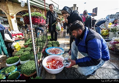 ماهی و سبزه ی عید