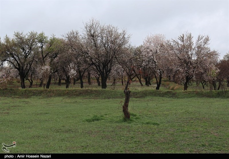 عید نوروز , روز طبیعت , 