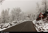 گزارش تسنیم از وضعیت بارشها در استان مرکزی| پیشبینی خسارت سنگین سرمازدگی به بخش کشاورزی؛ گردنههای استان لغزنده و برفی است