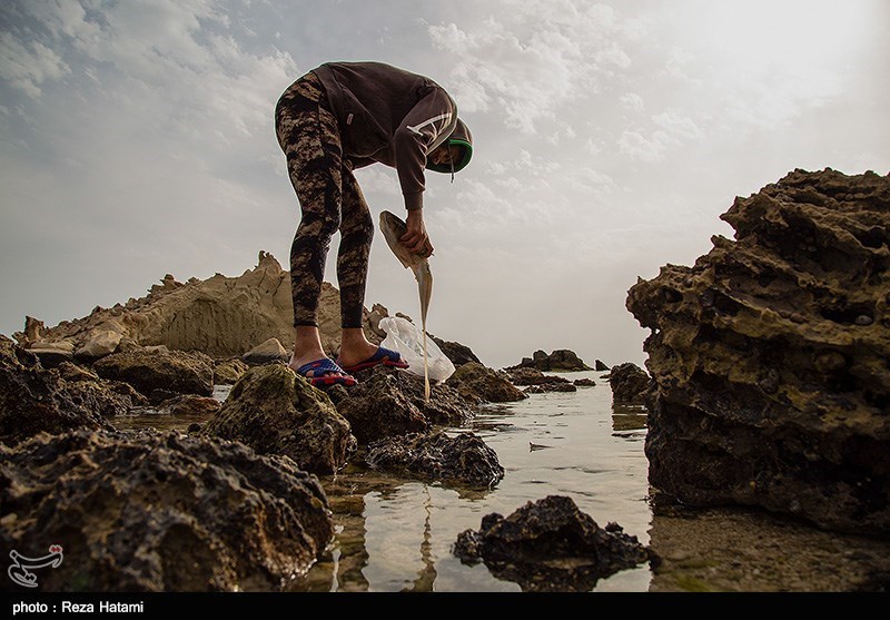 اهالی و صیادان جزیره به علت فراوانی ماهی در این فصل در اطراف ساحل به ماهیگیری مشغول هستند 