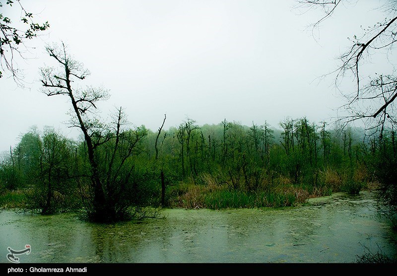 Qadikola Lagoon in Iran&apos;s Mazandaran