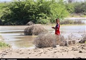 روستای تنبک پایین میناب پس از سیل به روایت تصویر