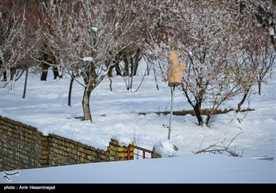 بهار برفی در روستاهای اطراف قم