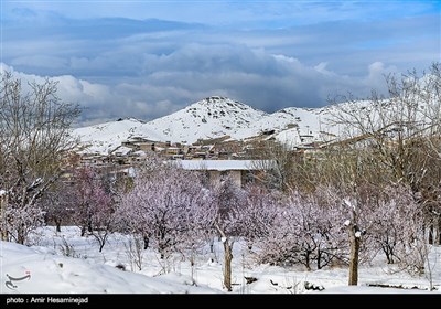 بهار برفی در روستاهای اطراف قم