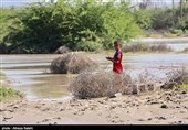 گزارش مردمی از عواقب سیل بلوچستان| «چاهان» نیکشهر در خطر طغیان و آبگرفتگی+ فیلم