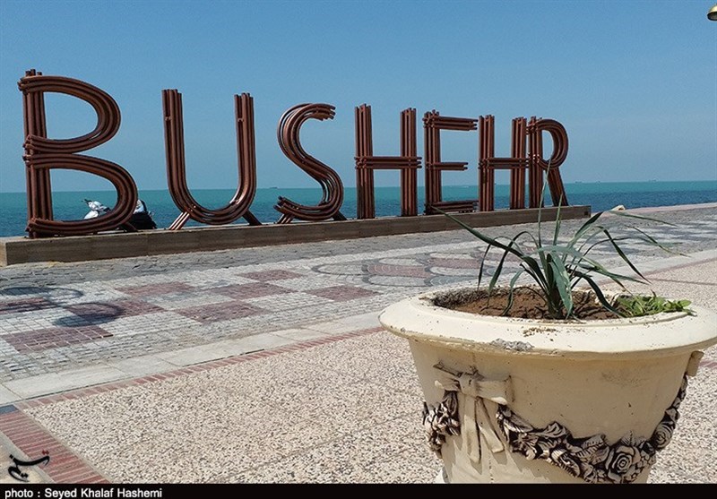 Image result for ساحل بوشهر