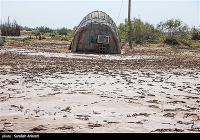 اسکان موقت سیلزدگان در روستای تکل حسن رودبار -کرمان