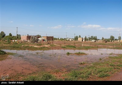 اسکان موقت سیلزدگان در روستای تکل حسن رودبار -کرمان