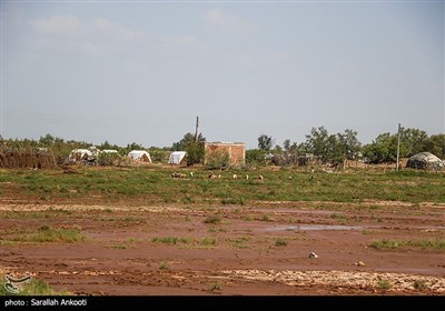 اسکان موقت سیلزدگان در روستای تکل حسن رودبار -کرمان