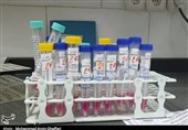 نخستین آزمایشگاه ژنتیک پزشکی در استان مرکزی راهاندازی شد