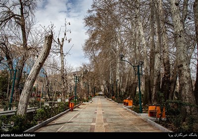 یکی از پارک های تهران در روزهای شیوع ویروس کرونا