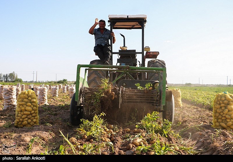ناوگان ماشین‌آلات کشاورزی استان کرمان به شدت فرسوده است