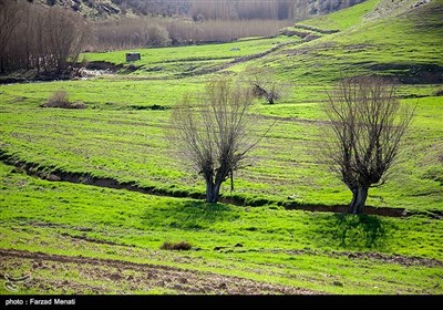 طبیعت بهاری کرمانشاه