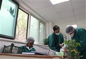 Over 313,000 Coronavirus Cases Recover in Iran