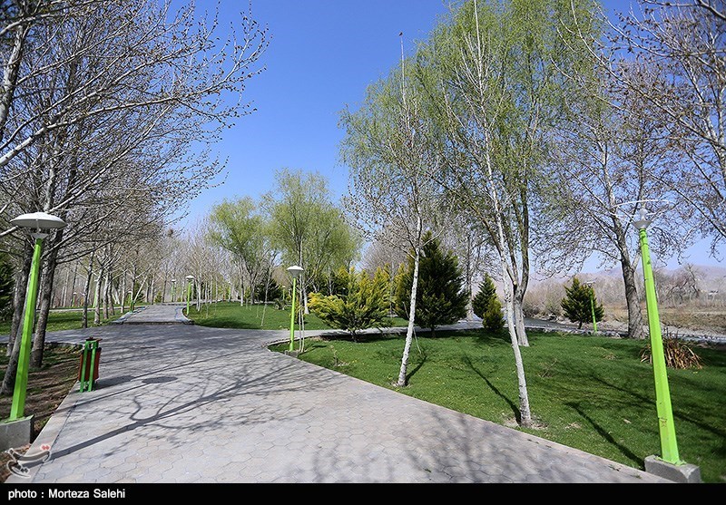 &quot; زندگی دوباره&quot; هدیه مردم بام ایران در روز طبیعت؛ همه در خانه ماندند