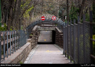 روز طبیعت - سیزده بدر کرونایی در پارک پرواز تهران