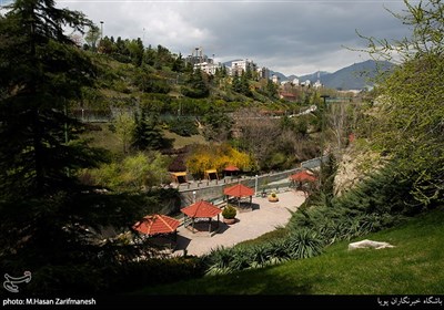 روز طبیعت - سیزده بدر کرونایی در بوستان نهج البلاغه تهران