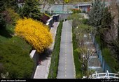 گزارش|روایت تسنیم از «سیزدهبدر» متفاوت کردستانیها؛ مردم بهجای سبزه دلهای اهل خانه را به هم گره زدند