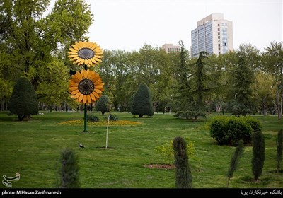 روز طبیعت - سیزده بدر کرونایی در بوستان لاله تهران