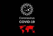 China Disease Expert Says COVID-19 Origins Probe Should Shift to US
