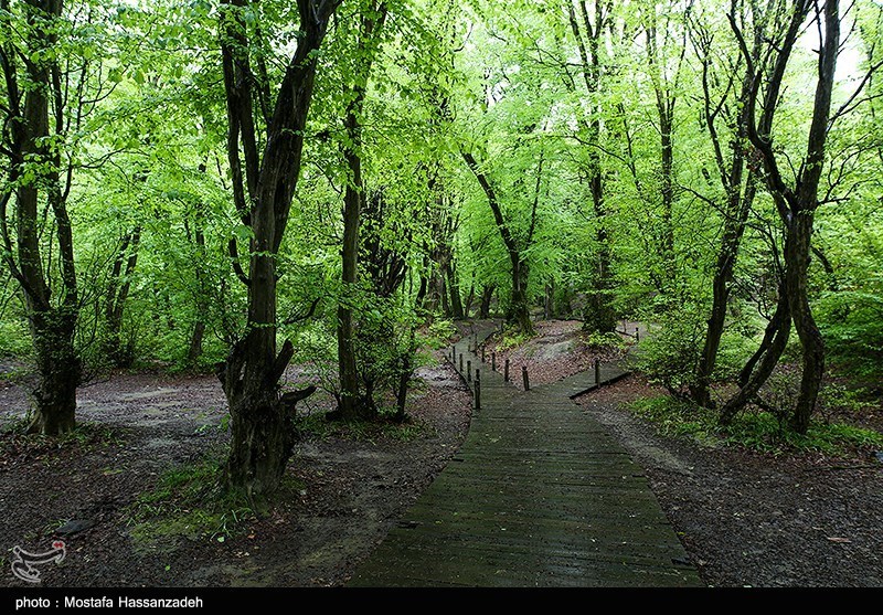 عملیات اجرایی پارک آبخیز استان گلستان و احیای اکوسیستم النگدره آغاز شد