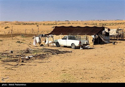 زیستگاه‌های بیت کوصر - خوزستان