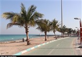 از گوشه و کنار جزایر خلیج فارس| مسئولان برای ترخیص کالا در مناطق آزاد چاره اندیشی کنند
