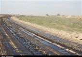 مالچ پاشی اقدامی مرگبار علیه تنوع زیستی خوزستان و اتلاف بیت المال است