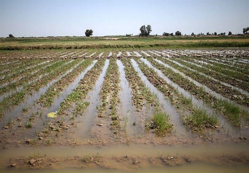 هشدارهای هواشناسی به کشاورزان تا 21 فروردین/هشدار وقوع سیلاب