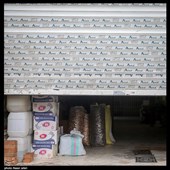 باز یا بسته؟!