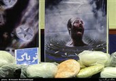 Iran Flag-Bearer of War on Drugs: Envoy