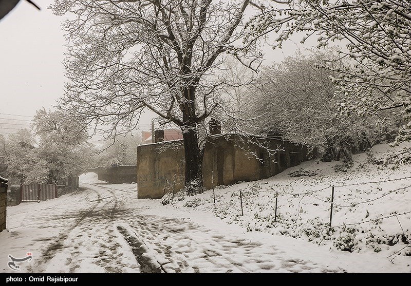 البرز| بارش برف بهاری و برف روبی در روستای ایپک اشتهارد+فیلم