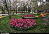 برگزاری مسابقه طراحی فضای بوستان بانوان ریحانه