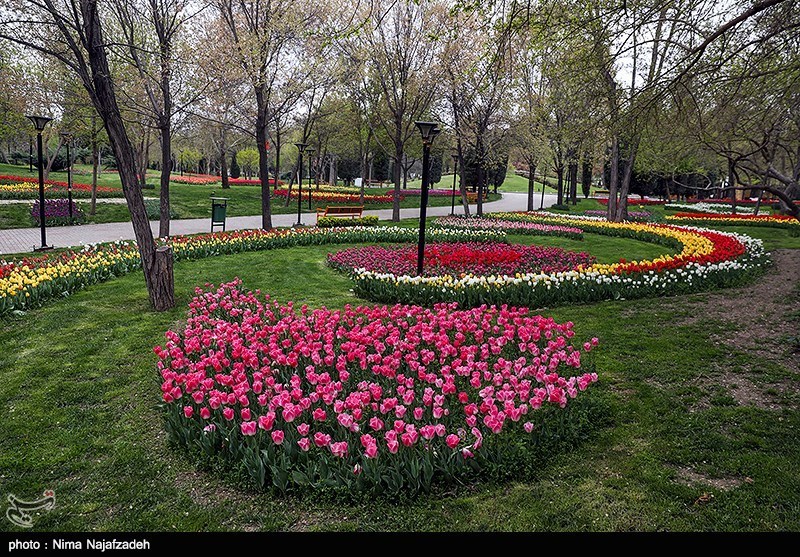 برگزاری مسابقه طراحی فضای بوستان بانوان ریحانه