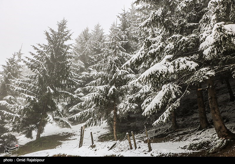 بارش برف بهاری در ارتفاعات گیلان؛ سامانه بارشی جدیدی در راه است
