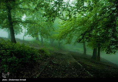 عباس آباد با هوای کرونا - بهشهر