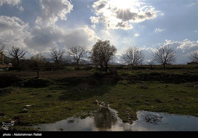 طبیعت بهاری همدان