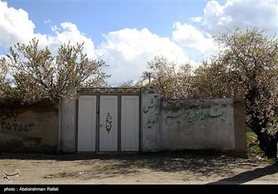 طبیعت بهاری همدان