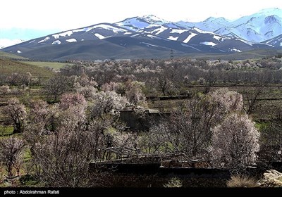 طبیعت بهاری همدان
