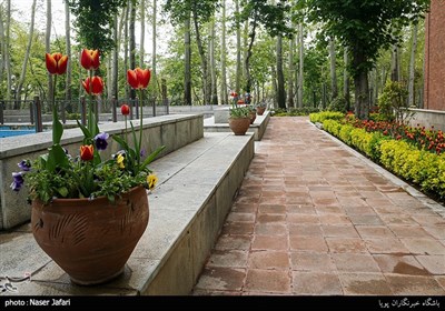لاله ها بهاری در باغ ایرانی