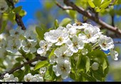 کردستان؛ نگین غرب ایران با هویتی کهن و چشم‌اندازهای نو