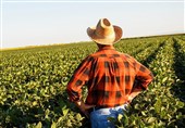 مشکل سازی علف های هرز برای کشاورزی آمریکا به دلیل کمبود کود شیمیایی