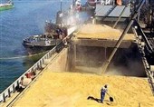 رشد 36 درصدی واردات کالاهای اساسی در گمرک چابهار/ 268 هزار تن گندم طی 3 ماه وارد کشور شد