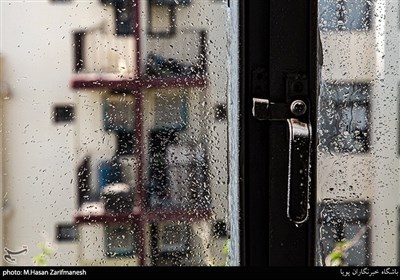 ضدعفوني،احمر