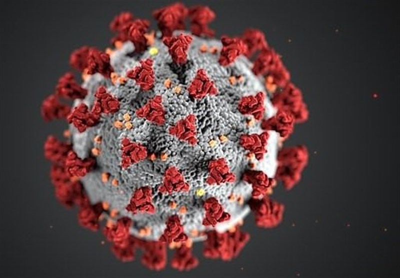 محققان چینی: جهش ویروس کرونا باعث افزایش مرگ‌ومیر در سایر کشورها شده است