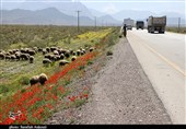 افزایش 1.9 درصدی تردد در جادههای کشور