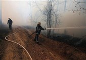 نگرانی اروپا از تشعشات خطرناک ناشی از آتش سوزی در چرنوبیل اوکراین