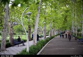 پارک ها در روزهای کرونایی